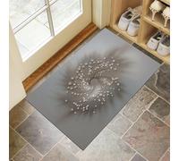 HASLEFND Paillasson d’entrée antidérapant 60 x 90 cm - Tapis intérieur/extérieur - Gris Clair Style Abstrait tridimensionnel Motif en Spirale - Lavable, Facile à Nettoyer pour Intérieur et Extérieur