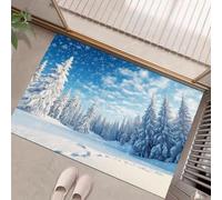 HASLEFND Paillasson Interieur 60 x 90 cm, Pays des Merveilles Hivernales Pins, Flocons de Neige, Ciel Tapis d'Entrée Antidérapant et Lavable en Machine, Tapis de Sol Douces Absorbantes Bleu