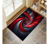 HASLEFND Paillasson Interieur 60 x 90 cm,Tapis de Sol Douces Illusion visuelle Escalier en Spirale géométrique, Tapis d'Entrée Antidérapant et Lavable en Machine, pour Chien, Entrée, Porte et Couloir