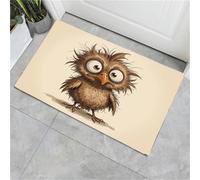 HASLEFND Paillasson Intérieur Tapis 45 x 75 cm, Style Dessin animé Petit Oiseau Duveteux, Entrée Intérieur Extérieur Imperméable,Antidérapan,Tapis pour Patio, Porche, entré - Brun