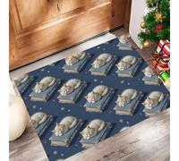 HASLEFND Tapis Entrée Intérieur, Tapis de Porte Lavable, Tapi Salon Animaux Mignons Un Chat Qui dort sur Un Livre, Chambre, Cuisine Dessous Antidérapant, Bleu, 80 x 120 cm