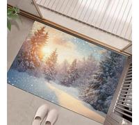 HASLEFND Welcome Paillasson, Jaune Photographie de paysages enneigés Lumière du Soleil, pins, Neige Tapis de Sol Douces, décoration de la Maison,Tapis de Sol pour intérieur et extérieur, 40 x 60 cm