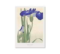 Hasui Kawase Poster Ohara Koson Impressions Katsushika Hokusai Vague japonaise Art mural sur toile Hiroshige Images pour décoration d'intérieur (SKU16,30,5 x 40,6 cm = (30 x 40 cm), sans cadre)