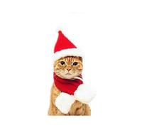 Hat And Scarf Setfor Cat Dog Puppy Santa Claus Christmas Costumes Clothes .(red)(2pcs)