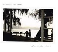 Hatakeyama,Chihei - Magnificent Little Dudes Vol 2 (Black Vinyl 2lp)