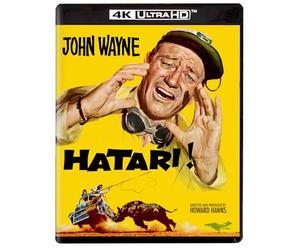 HATARI (4KUHD)