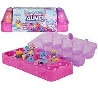 Hatchimals ALIVE - Boîte 5 Oeufs + Accessoires - Boîte Oeufs 5 Figurines À Collectionner Et 11 Accessoires - A Faire Eclore Avec De L'Eau - Thème Bébé - Transport Facile - Jouet Enfant 3 Ans et +