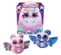 HATCHIMALS Alive, Mystery Hatch, Pandoo, jouet interactif surprise et œuf avec brume, lumières et sons (les styles peuvent varier), jouets pour garçons et filles