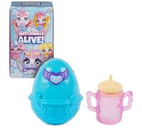 HATCHIMALS ALIVE - Pack de 1 Hatchimals + Biberon - Oeuf 1 Figurine À Collectionner Et 2 Accessoires - A Faire Eclore Avec De L'Eau - Thème Bébé - Jouet Enfant 3 Ans et + - Modèle Aléatoire