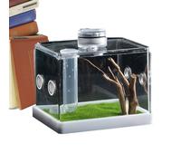 Hatching Container | Landscaping Box - Spider Cage, Fish & Aquatic Pets Tanks Amphibian Supplies Enclosure Accessories for Home Use