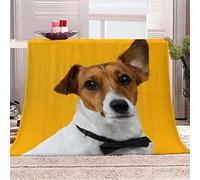 HATEGE Couverture Polaire 150 x 200 Chien Mignon, Plaid Animaux en Flanelle 1 Personne Doux et Chaude imprimée en 3D Couvertures pour Salon Canapé Canape Lit