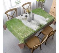 HATEGE Nappe Rectangulaire Chien 150x250 cm Nappe Chiot en Tissu Polyester Imperméable, Anti Tache Nappes Animal de Compagnie, pour Cuisine Anniversaire Exterieur Jardin A-3321