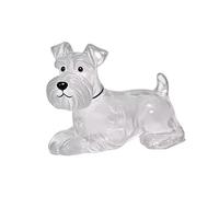 Hattba Lot de 1/6 porte-clés transparents pour poils d'animaux de compagnie, accessoires commémoratifs pour collectionneurs de fourrures de chien, pour amoureux des animaux domestiques, cadeau de