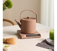 HATTORI - Bouilloire Électrique 0,5 L Avec Contrôle De La Température Moka