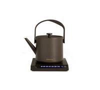 HATTORI - Bouilloire électrique 0,5 L avec contrôle de la température - Noir