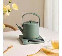 HATTORI - Bouilloire Électrique 0,5 L Avec Contrôle De La Température Sauge