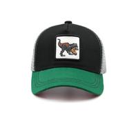 Hatwell Casquette Trucker Enfant 2-6 Ans, Dinosaure Brodé Noir Vert