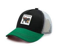 Hatwell Casquettes pour Enfants Trucker pour Garçons et Filles, Chapeau de Baseball Snapback Mesh pour Les Âges 2-8 Ans