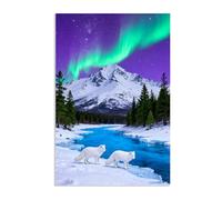 Hau3sh3a imprimée sur toile murale Aurores boréales avec rivière Peinture sur Toile Fox River Neige Montagne Vert Tableau Décoration pour salon chambre à coucher animal 60x40cm(24x16in) poster