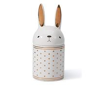 HAUCOZE Boite Biscuits Boite de Cookies Boîte à Bonbons Lapin Décor Figurine Animal Cadeau Sculpture Maison Statue Céramique Arts 20cm