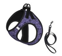 Haunted Mansion Ensemble harnais et laisse pour petit chien, gilet souple réglable avec sangles réfléchissantes à 360° pour chats et chiots