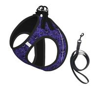 Haunted Mansion Ensemble harnais et laisse pour petit chien, gilet souple réglable avec sangles réfléchissantes à 360° pour chats et chiots
