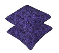 Haunted Mansion Lot de 2 taies d'oreiller carrées super douces avec fermeture éclair pour canapé, salon, canapé, lit, bureau, voiture, 30 x 30 cm