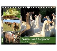 Haus- und Hoftiere (Wandkalender 2026 DIN A4 quer), CALVENDO Monatskalender: Typische Tiere auf dem Land