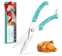 HAUSHOF Ciseaux à Volaille Robustes 255 mm, Ciseaux de Cuisine Professionnels en Acier Inoxydable Robustes et Tranchants pour Poulet, Viande, Poisson, Os et Légumes