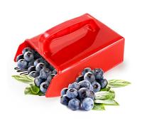 Hausio Cueille-baies - Peigne à myrtilles, peigne à baies, cueille-fruits, cueillette de myrtilles, peigne à myrtilles, avec tige, cueillette de baies, outil de cueillette de myrtilles de jardin (1
