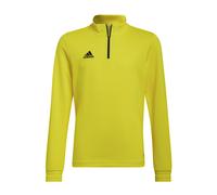 Adidas Entrada 22 Training Sweatshirt Jaune 5-6 Years Enfants