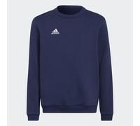 Adidas Entrada 22 Stadium Sw Sweatshirt Bleu 5-6 Years Enfants