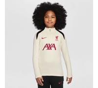 Nike FC Liverpool Strike Special Edition Dri-FIT HJ3507 Haut de Football pour Enfants Plus âgés