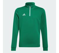 Adidas Entrada 22 Training Sweatshirt Vert 7-8 Years Enfants