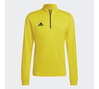 Adidas Entrada 22 Training Sweatshirt Jaune S / Regular Homme
