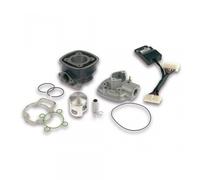 Haut Moteur Malossi I-Tech Ø47mm Pour Scooter Piaggio 50 Nrg Mc3 Pure Jet 3112044