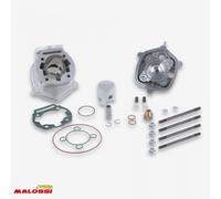 Haut Moteur Malossi Pour Moto Aprilia 50 Rs 2006-2018 3112977 / Ø39.88mm Neuf