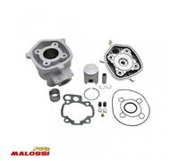Haut moteur Malossi pour Moto Rieju 50 RRX Neuf