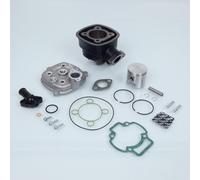 Haut Moteur Malossi Pour Scooter Derbi 50 Paddock Lc Ø47mm H2o / 3111146 Neuf