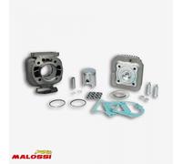 Haut Moteur Malossi Pour Scooter Mbk 50 Stunt 31 6901 / Ø40mm Neuf