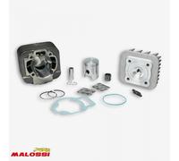 Haut Moteur Malossi Pour Scooter Piaggio 50 Zip 2t 31 8520 / Ø40mm Neuf