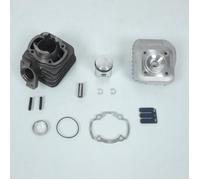 Haut moteur Polini pour Scooter Peugeot 50 Trekker MetalX Neuf