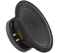 MON SP-10/250PRO - Haut-parleur de graves/caisson de basses SP-10/250PRO, 250 W, 8