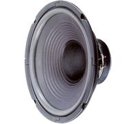 Haut-parleur 10 Visaton W 250 - 8 Ohm N/A