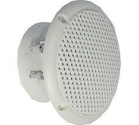 Haut-Parleur À Large Bande 4 Ohm 25 W