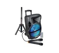 Haut-parleur amplifié avec Microphone 600 W PMPO