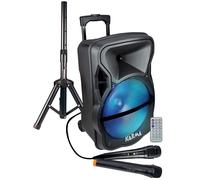 Haut-parleur amplifié avec Microphone 600 W PMPO