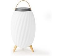 Haut parleur Bluetooth avec lumière d'ambiance | | SPBT35805WT |60 W