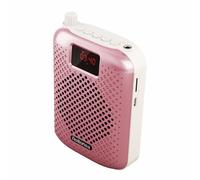 Haut parleur Bluetooth K500, Microphone, amplificateur vocal, amplificateur, haut parleur, mégaphone, pour enseignement, Guide touristique, Promotion des ventes