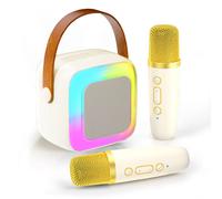 Haut-parleur Bluetooth portable sans fil pour chants extérieurs microphone karaoké boîte de rangement domestique petite taille ktv couleur SY13 blanc double mic